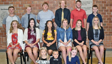 Polar Bear homecoming