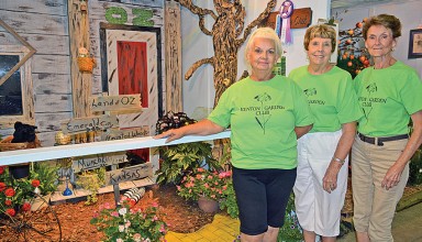 Off to see the wizard