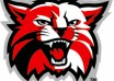 Wildcats logo